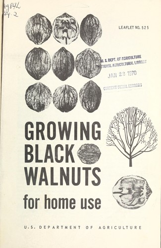 Cover for Growing black walnuts for home use