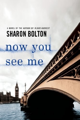 Cover for Now You See Me