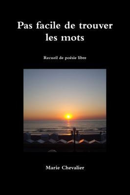 Cover for Pas Facile de Trouver les Mots