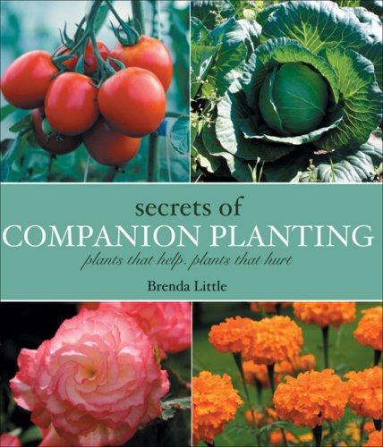 Cover for Secrets of Companion Planting
