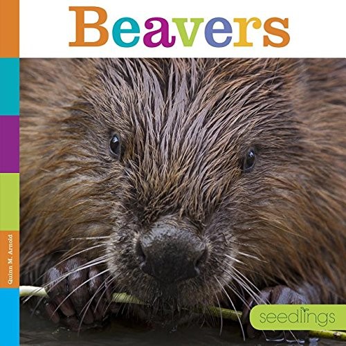 Cover for Beavers