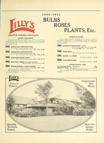 Cover for Lilly's bulbs, roses, plants, etc