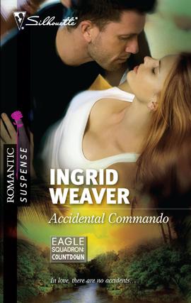 Cover for Accidental Commando