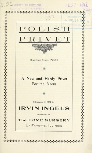Cover for Polish privet (Ligustrum Polishi) a new and hardy privet for the North
