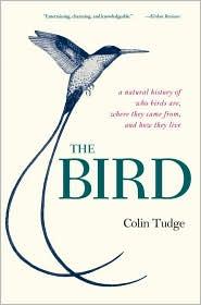Cover for The Bird