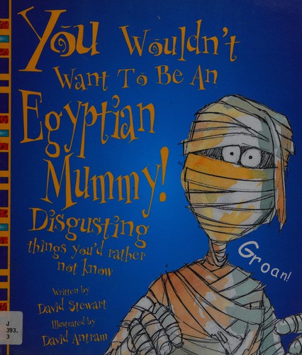 Cover for You wouldn't want to be an Egyptian mummy!