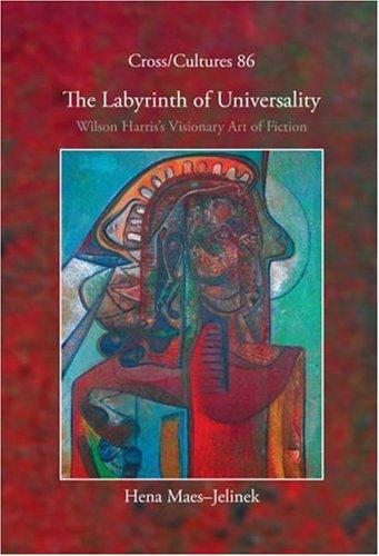 Cover for The Labyrinth of Universality