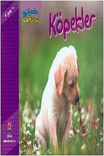 Cover for Bir Zamanlar Korkardim - Köpekler. Translated by Zülfe Eyles