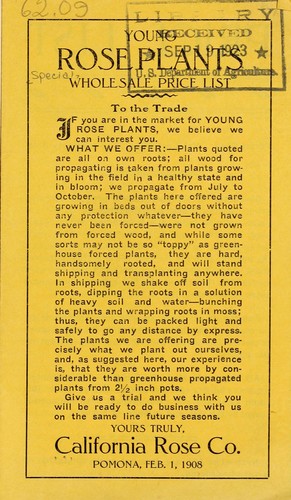 Cover for Young rose plants