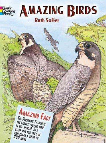 Cover for Amazing Birds