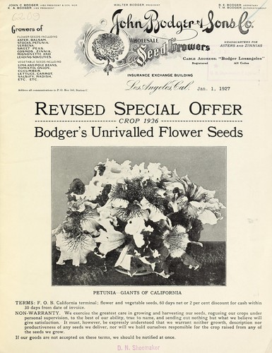 Cover for Revised special offer