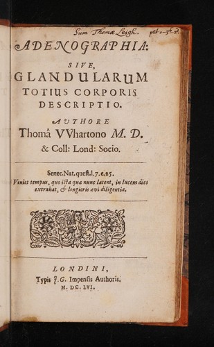 Cover for Adenographia