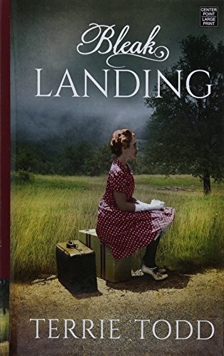 Cover for Bleak Landing