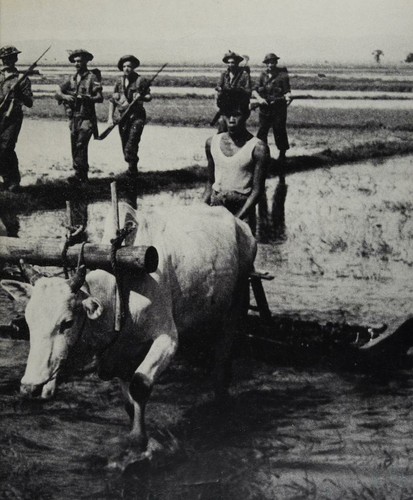 Cover for China - Burma - India - World War Ii