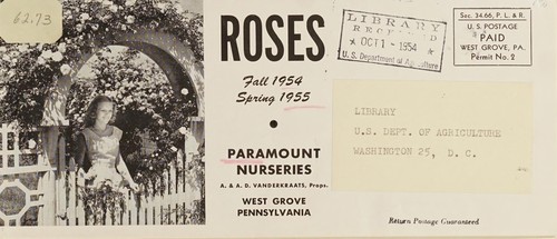 Cover for Roses