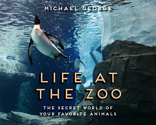 Cover for Life at the Zoo