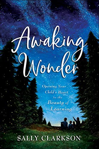 Cover for Awaking Wonder
