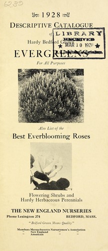 Cover for 1928 descriptive catalogue of hardy Bedford grown evergreens for all purposes