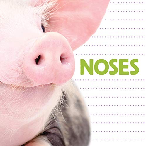 Cover for Noses
