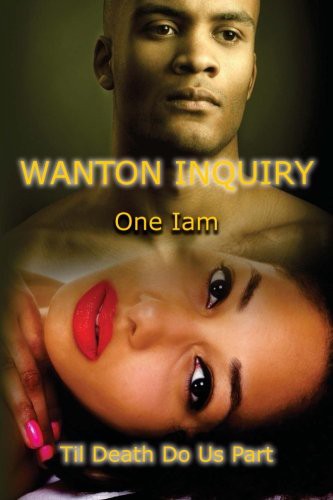 Cover for Wanton Inquiry