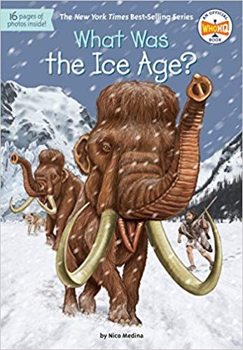 Cover for What was the Ice Age?