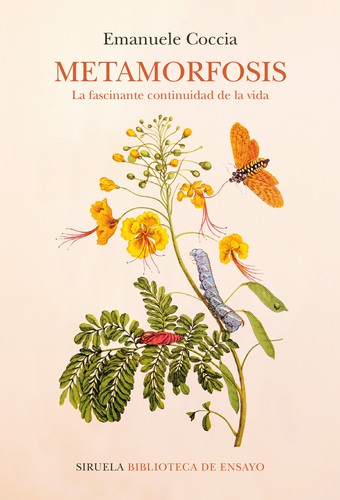 Cover for Metamorfosis