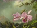 Cover for Martin Johnson Heade: A Survey 