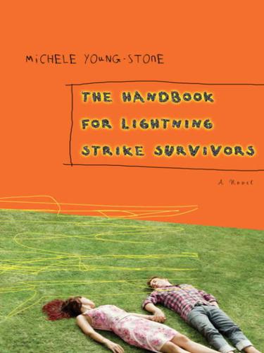 Cover for The Handbook for Lightning Strike Survivors
