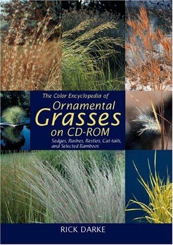 Cover for The Color Encyclopedia of Ornamental Grasses