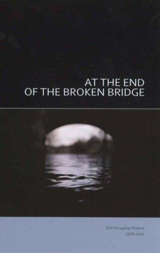 Cover for At the End of the Broken Bridge