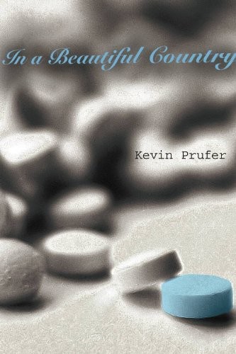 Cover for In a Beautiful Country
