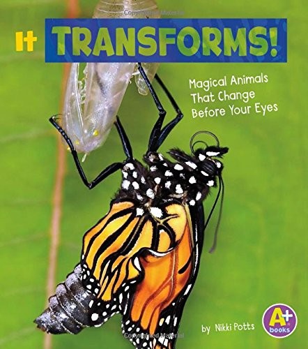 Cover for It Transforms!