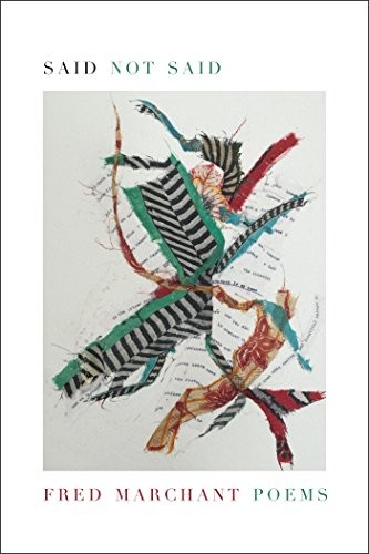 Cover for Said Not Said
