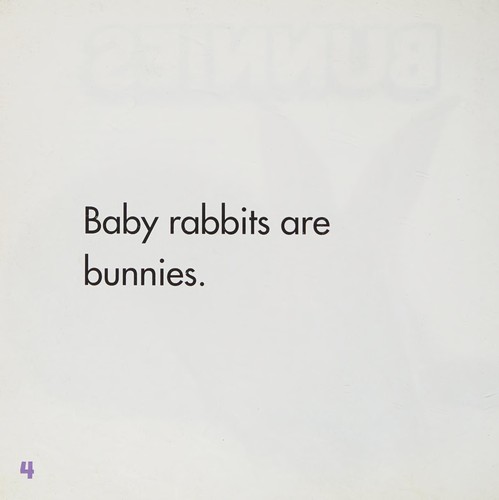 Cover for Bunnies