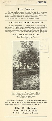 Cover for [Nut Tree Nurseries price list]