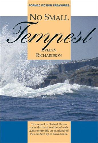 Cover for No Small Tempest