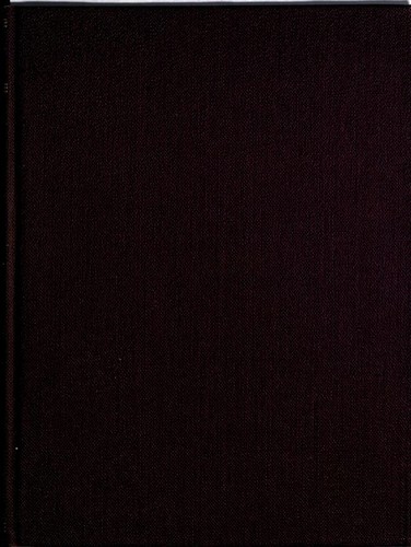 Cover for The son of Monte Cristo