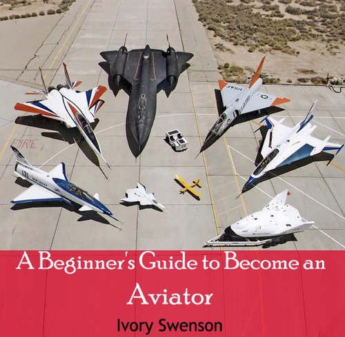 Cover for A beginner's guide to become an aviator