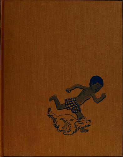 Cover for The sky dog