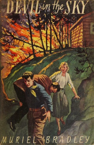Cover for Devil in the sky