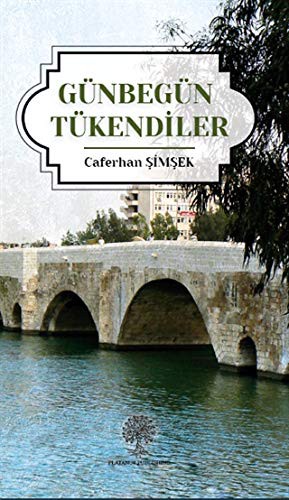 Cover for Günbegün Tükendiler