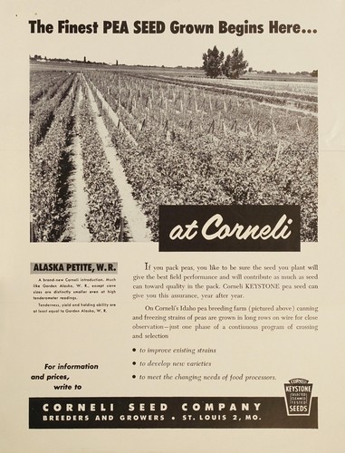 Cover for The Finest pea seed grown begins here at Corneli