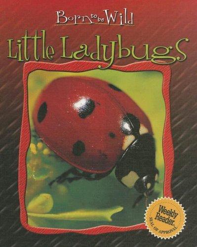 Cover for Little ladybugs
