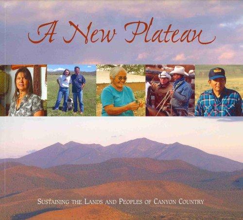 Cover for A new plateau
