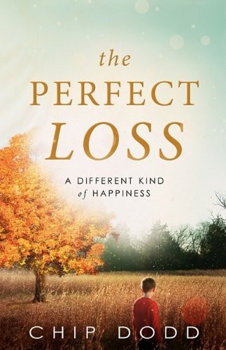 Cover for The Perfect Loss