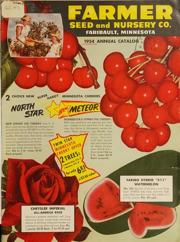 Cover for 1954 annual catalog