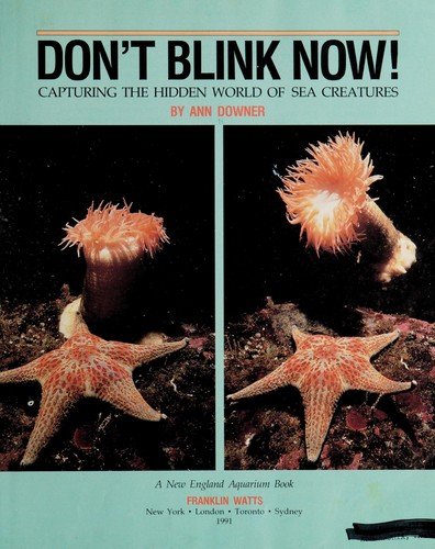 Cover for Don't blink now!
