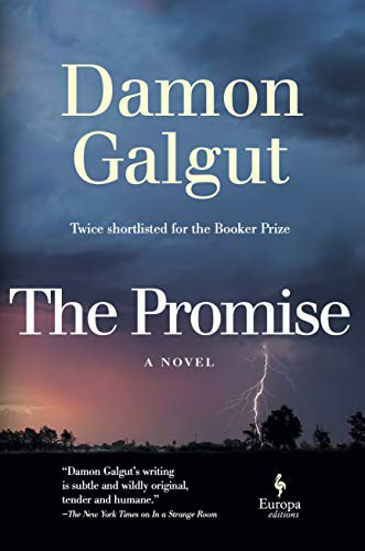 Cover for The Promise