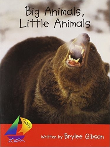 Cover for Big Animals, Little Animals