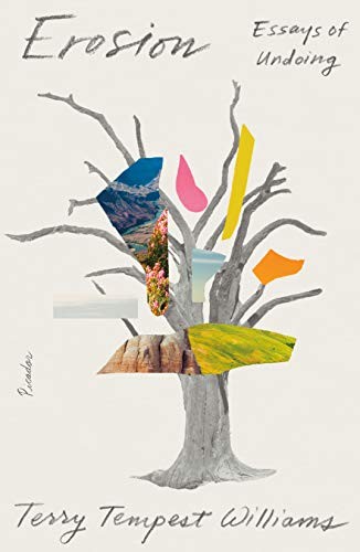 Cover for Erosion